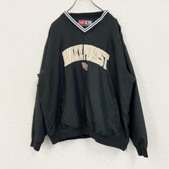 Item thumbnail for item 6c4085e0-2b84-4370-9620-ccc44779bfd0