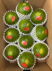 産地直送！甘いパパイヤメロン❗️甘くて美味しい❗️10玉入りのサムネイル