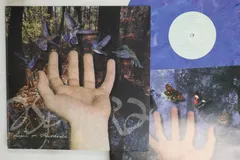 LP Aspera Sugar & Feathered BWR0242 	BIG WHEEL RECREATIO /00260