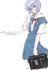 DVD 애니메이션, 미시시 코토노, 하야시바라 메구미. 에반게리온 신극장판:서 (EVANGELION:1.11)