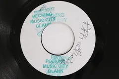 7” Skiddy & Detroit / Bunny Gayle Exile Song / In The Burning Sun Joh-ho NONE PECKINGS RECORDS /00080