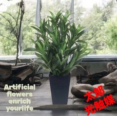 光触媒 人工観葉植物 ウォールグリーン フェイクグリーン スパイダー