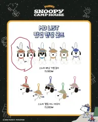 (タグX)ダンク キャンプハウス SNOOPY キーホルダー