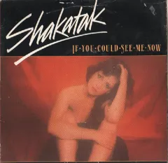7” Shakatak If You Could See Me Now POSP635 Polydor /00080