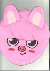 StrayKids 2023MANIAC ENCORE inJAPAN Changbin IMAGE PICKET CASE SKZOO