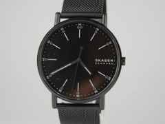 極美品】SKAGEN スカーゲン ダイバーズウォッチ FISK SKW6666 - メルカリ