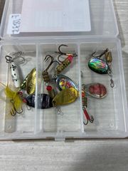 Item thumbnail for item 6b52c3fc-c604-453b-9dd2-7a2a51db0c8e