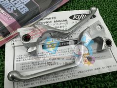 スポーツスター 03リジスポ外し 純正リアキャリパー ブレーキライン