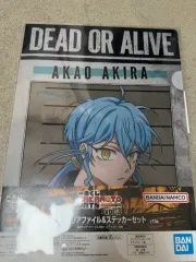 坂本デイズ DAIZ MEN リー ウール 商品 アキ カモフラ COOGI(クージー) クリアファイル 商品