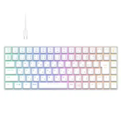 iClever ゲーミングキーボード テンキーレス 赤軸 メカニカル キーボード 日本語配列 88キー 75%サイズ RGB 23種類 バックライト カスタマイズ 静音 有線 着脱式ケーブル ゲーム/オフィス用 パソコンキーボード キーキャッププーラー付属 e