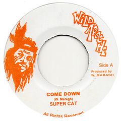Super Cat／Come Down レゲエ レコード ダンスホール 1988 - メルカリ