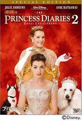 ☆希少☆ DVD リコネクション エッセンスオブヒーリング エリック