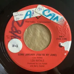 7” Lou Natale Come January (Youre My June) DEE108201 Dee Communications /00080