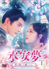 永安夢～君の涙には逆らえない～」DVD 全17巻完結セット 中国ドラマ