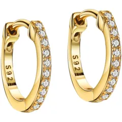 【新品】 Michooyel ピアス レディース リング シルバー925 金属アレルギー対応 高級ジルコニア フープ イヤリング女性 おしゃれ 男女兼用カップル お揃い バレンタイン 1