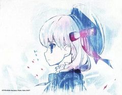 [중고] 원화 일러스트 보드 Fate/EXTRA Last Encore 캔버스 아트 06 캐스터