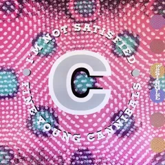 12” Fine Young Cannibals Im Not Satisfied IRS24009 I.R.S. Records /00250