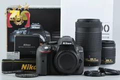 2026年最新】nikon d5300 ダブルズームキットの人気アイテム - メルカリ