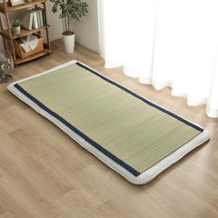 Item thumbnail for item 06fe6736-2ffa-4cfa-87ce-b0f09f178db5