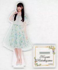 AKB48 田口愛佳 春コン 柏木由紀卒コン スペシャルくじ アクリル