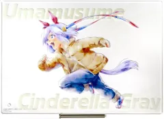 【中古】アクリルスタンド・アクリルパネル タマモクロス(幼少期) 描きおろしアクリルボード 「一番くじ アニメ ウマ娘 シンデレラグレイ 灰の怪物vs白い稲妻」 G賞