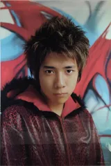 嵐 01年 嵐が春の嵐を呼ぶ 二宮和也 ポスター