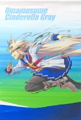 【中古】タペストリー オグリキャップ A2描きおろしタペストリー 「一番くじ アニメ ウマ娘 シンデレラグレイ 灰の怪物vs白い稲妻」 F賞