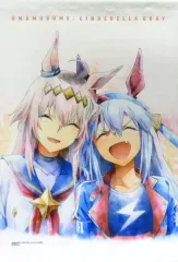 【中古】タペストリー オグリキャップ＆タマモクロス(正面/バストアップ) A2描きおろしタペストリー 「一番くじ アニメ ウマ娘 シンデレラグレイ 灰の怪物vs白い稲妻」 F賞