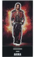 【中古】アクリルスタンド・アクリルパネル EXILE AKIRA アクリルスタンド EXILE ver. 「EXILE LIVE TOUR 2025 ”THE REASON”」