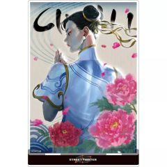 [중고] 아크릴 스탠드 아크릴 패널 춘려 아크릴 스탠드 [스트리트 파이터 6]