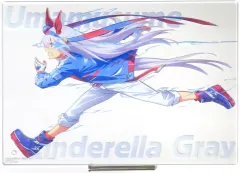 【中古】アクリルスタンド・アクリルパネル タマモクロス(現在) 描きおろしアクリルボード 「一番くじ アニメ ウマ娘 シンデレラグレイ 灰の怪物vs白い稲妻」 G賞