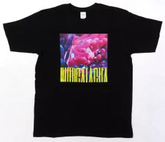 Item thumbnail for item 4a974c66-6679-42bd-9b25-7b7580976707