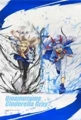【中古】タペストリー オグリキャップ＆タマモクロス(正面/全身) A2描きおろしタペストリー 「一番くじ アニメ ウマ娘 シンデレラグレイ 灰の怪物vs白い稲妻」 F賞