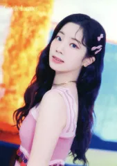 【中古】キャラカード ダヒョン(TWICE)/縦・ピンク衣装・腰上 ランダムトレーディングカード 「CD Celebrate」 リリース記念グッズ