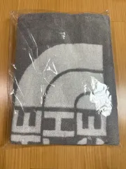 ザ・ノース・フェイス 灰色がかった タオル ホワイトロゴ