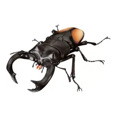 【中古】トレーディングフィギュア パリーフタマタクワガタ 「いきもの大図鑑アドバンス クワガタ02」