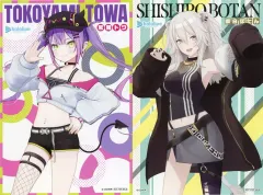 【中古】キャラカード 全2種セット コラボイラストカード 「灰仭巫覡×バーチャルYouTuber ホロライブ 書店フェア」 フェア参加書店対象書籍購入特典