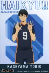 【中古】キャラカード 影山飛雄 ビジュアルカード 「ハイキュー!! みんなの背番号! 烏野高校 フェア in アニメイト」 グッズ購入特典