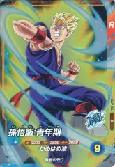 【中古】ﾄﾞﾗｺﾞﾝﾎﾞｰﾙｽｰﾊﾟｰﾀﾞｲﾊﾞｰｽﾞ SDV7-006[R]：孫悟飯：青年期