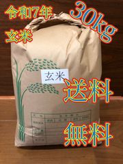 令和7年 茨城県産 新米コシヒカリ精米３０kgサラ⭐︎Naosami 令和7年 茨城県産 新米コシヒカリ精米30kgサラ⭐︎Naosami様専用