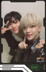 Stray Kids FELIX/I.N ODDINARY 予約特典 トレーディングカード ユニット黒