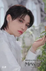 Stray Kids FELIX 2023 MANIAC ENCORE in JAPAN オンラインくじ ステッカー A