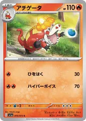 2026年最新】アチゲータ sの人気アイテム - メルカリ