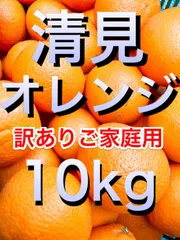 【愛媛県産 清見オレンジ 10kg】濃厚甘み・ジューシー 訳あり家庭用 産地直送 送料無料