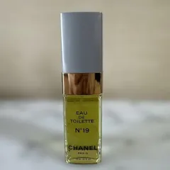 シャネル　N°19 パルファム　100ml