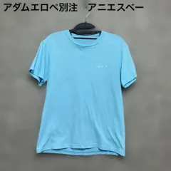 美品　アダムエロペ別注 Agnes b Tシャツ　水色　半袖　ロゴ　刺繍　M
