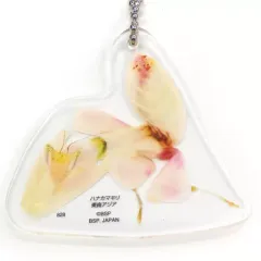 【中古】雑貨 ハナカマキリ アクリルキーホルダー 「一番くじ昆虫 世界の昆虫だいしゅうごう!!」 G賞