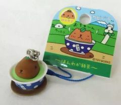 [중고] 키홀더·마스코트(캐릭터) 카피바라씨 뿌리내기 [카피바라씨~혼와카 녹차~] 시즈오카 한정