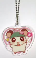 【中古】キーホルダー かぶるくん アクリルキーホルダー 「キャラ福くじ とっとこハム太郎」 F賞