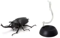 【中古】トレーディングフィギュア 1.ヤマトカブトムシ(黒) 「いきもの大図鑑 かぶとむし」のサムネイル
